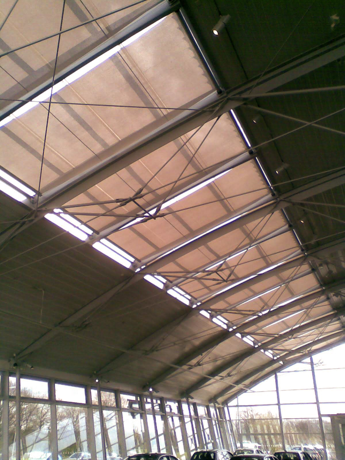 IMG-20250620-WA0000